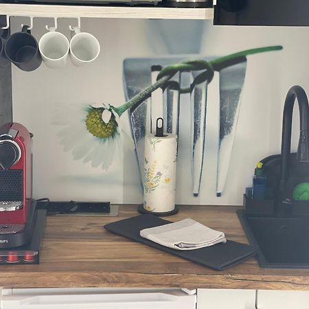 1 Zimmer Appartement In Bad Rothenfelde Esterno foto